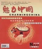 魅力中国